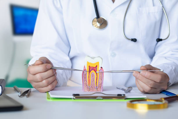 Best Emergency Tooth Extraction in Bowling Green, OH